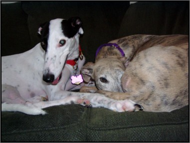 Phoebe and Daphne Phoebe and Daphne
