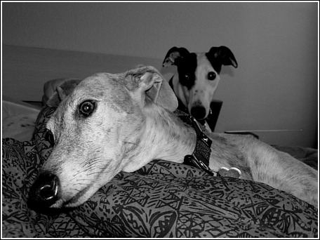 Daphne and Phoebe