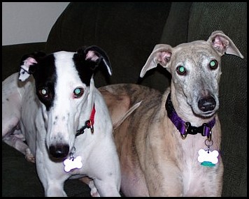 Phoebe and Daphne Phoebe and Daphne