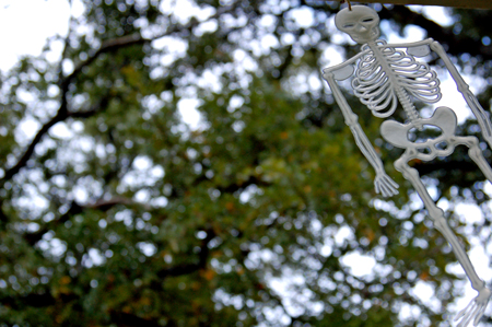 skeleton-and-tree1
