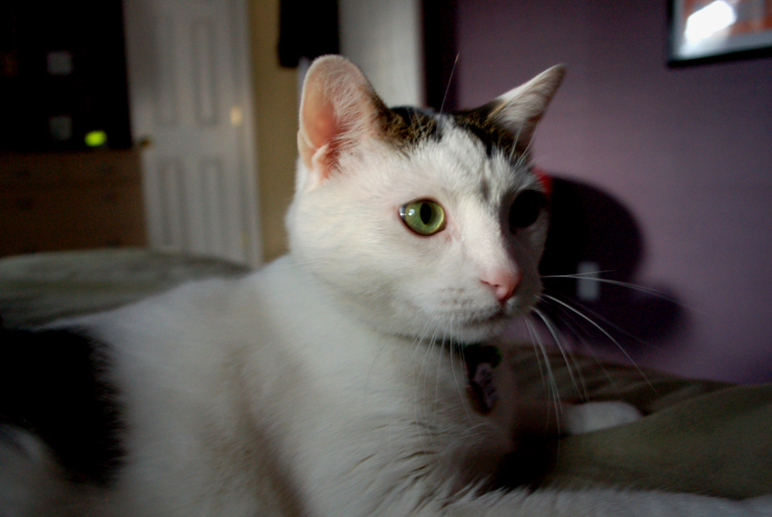 Simon stares at nothing