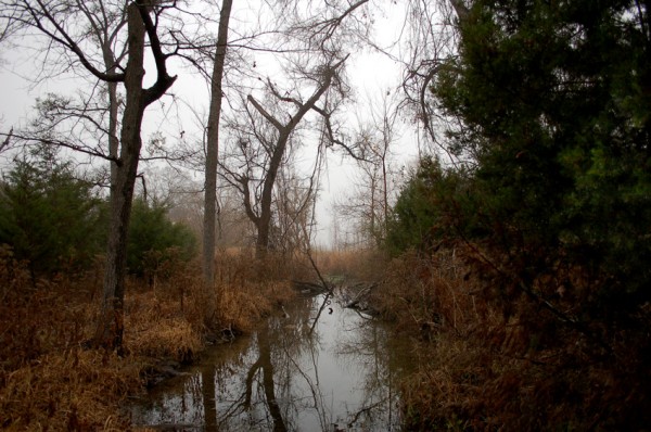 From the Bridge on the Trail From the footbridge on the trail in winter