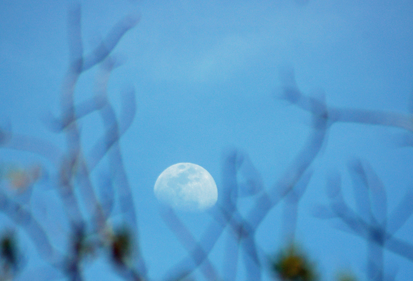 The Moon