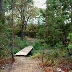 The pond trail bridge