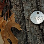 Tagged Tree