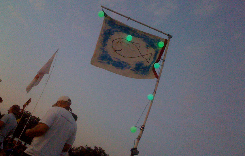 ACL Fest 2009 - Fish Flag