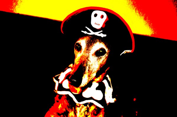 Joey - Halloween 09