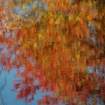 Reflections 1