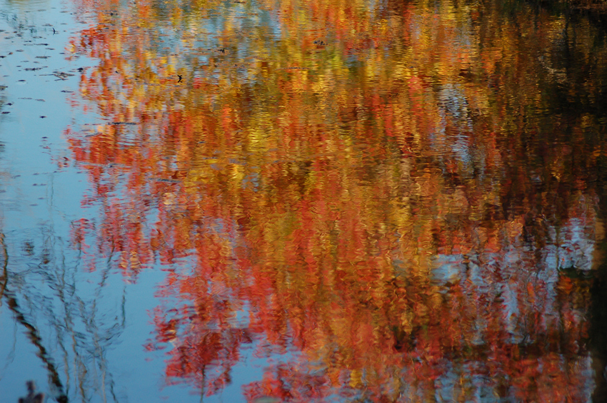 Reflections 1