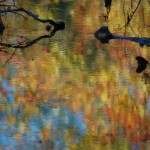 Reflections 3
