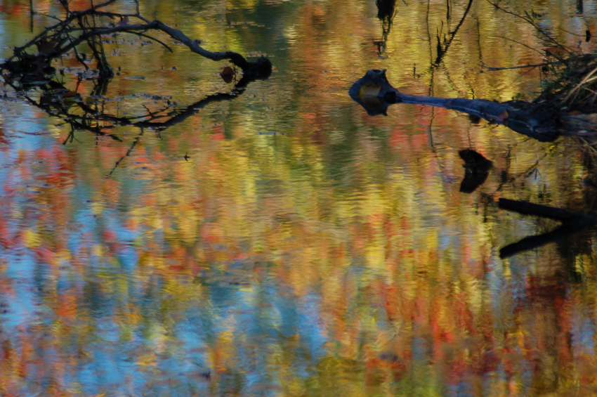 Reflections 3