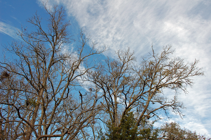 Winter Sky 2