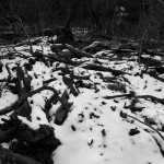 Snow on the Trail