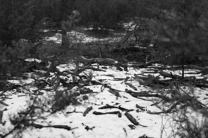 Smow on the Trail 2