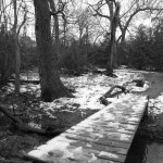 The Pond Trail Bridge