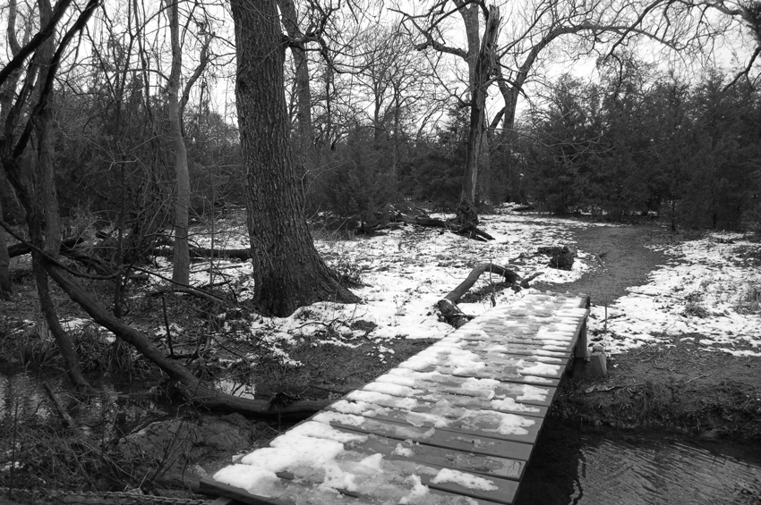 The Pond Trail Bridge