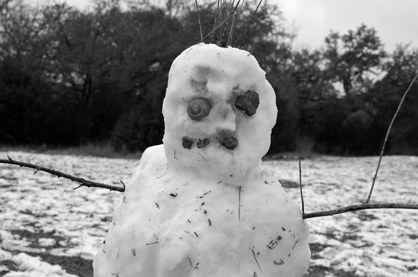 Neighborhood Snow Man