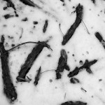 Snow Runes