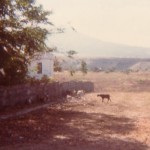 Along the trail of the Bataan Death March. 1982