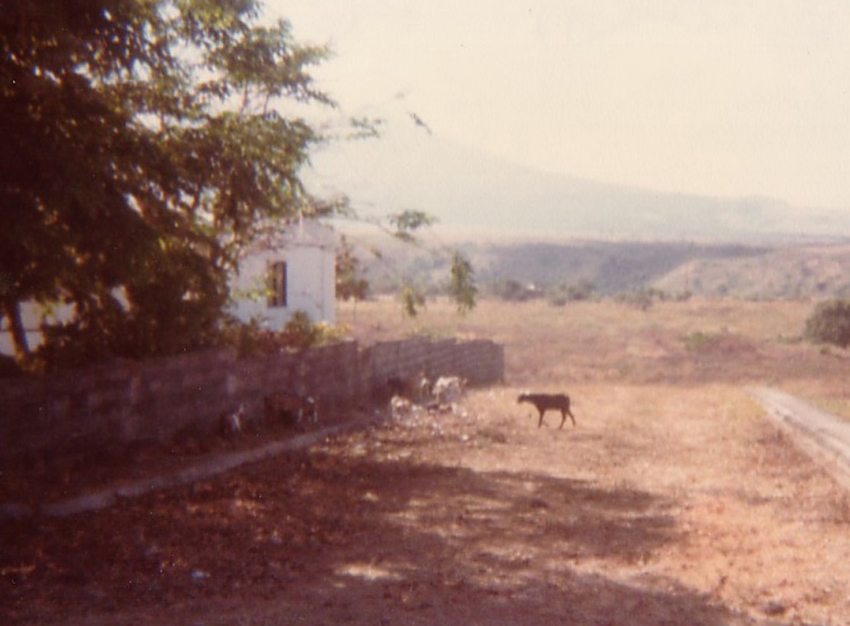 Along the trail of the Bataan Death March. 1982
