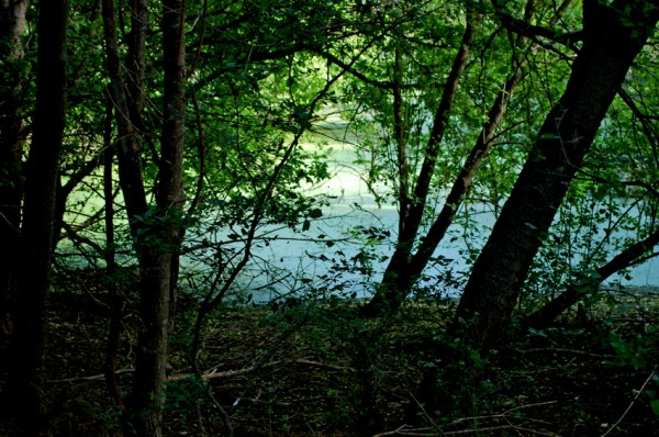 Hornsby Bend