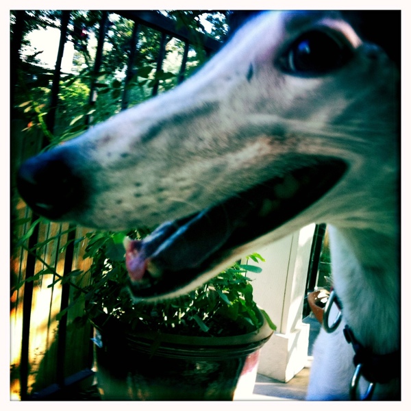 20110722-083834.jpg
