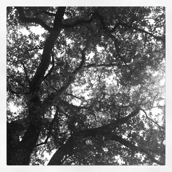 20121009-203257.jpg