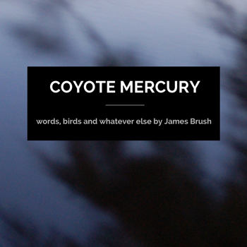 Publications Coyote Mercury